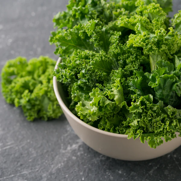 Kale curly, *super-food*, 0.5 kg bag - Image 3
