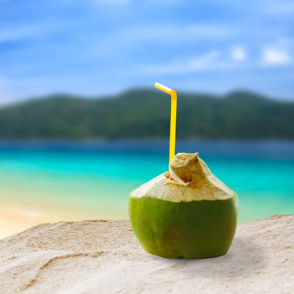 Coconut, Young, drinking, Single Piece - Image 3
