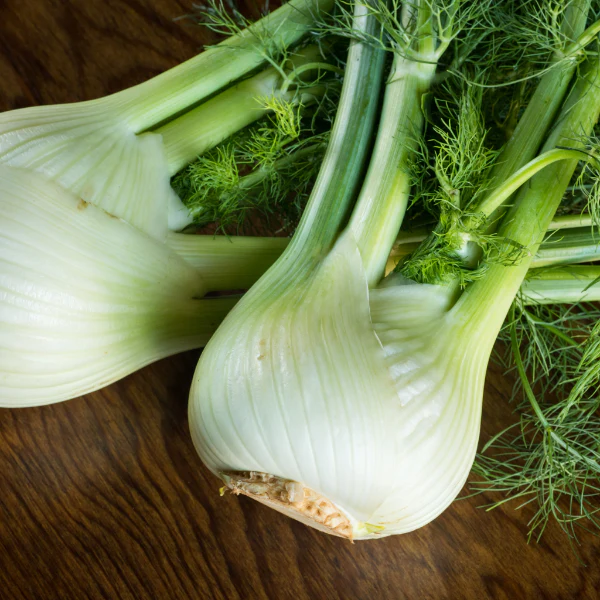 Fennel, 1.5 kg Pack - Image 3