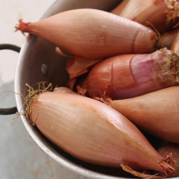 Shallots, round, 0.25 kg Pack - Image 3